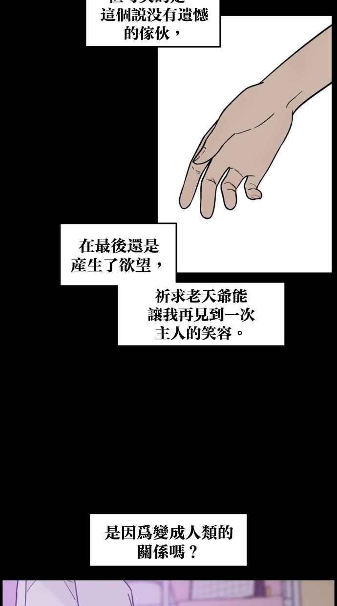 《只属于我的主人》[第79话] 只有感谢而已 第44页