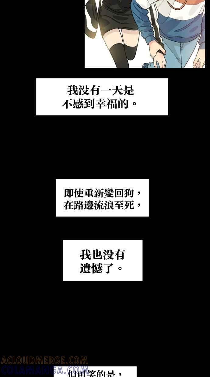 《只属于我的主人》[第79话] 只有感谢而已 第43页