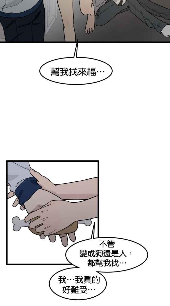 《只属于我的主人》[第80话] 帮我找来福 第45页