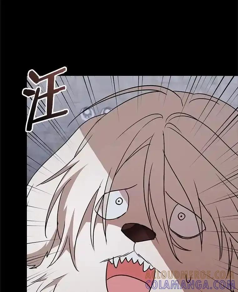 《你好？兽医先生！》59.我们回家吧 第37页