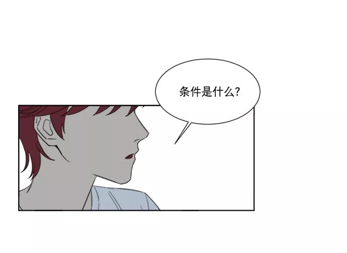 《我的专属男主角》第44话 第54页