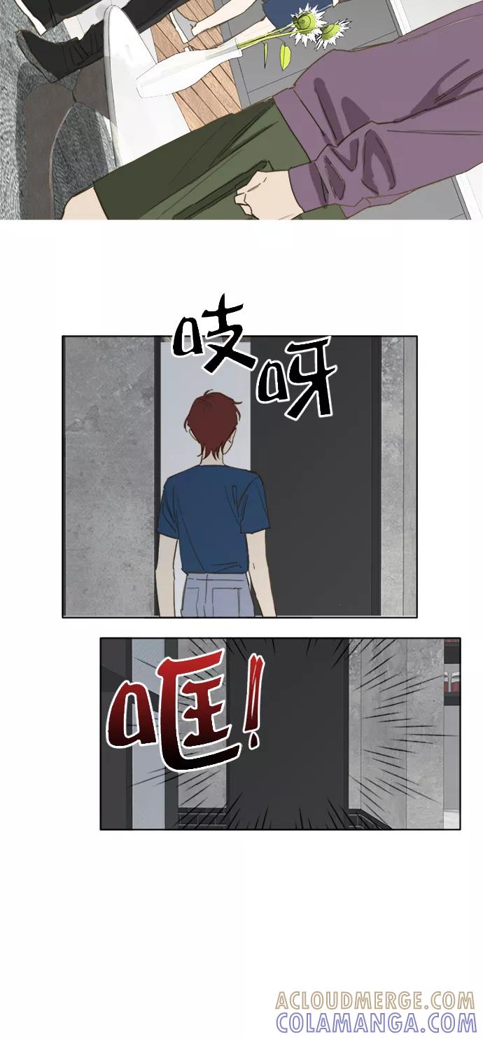 《我的专属男主角》第48话 第33页