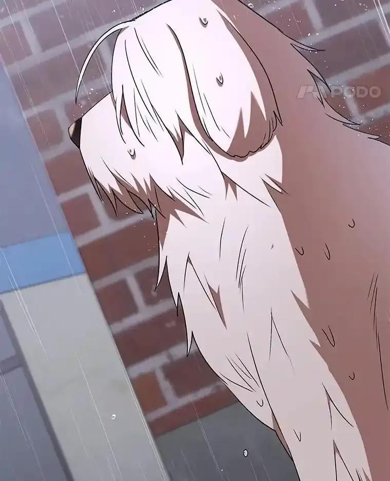 《你好？兽医先生！》58.小古历险记（2） 第112页