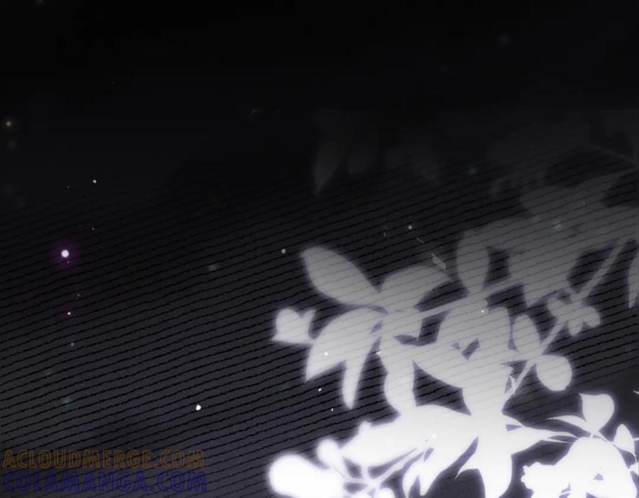 《致命偏宠》第14话 手术 第19页