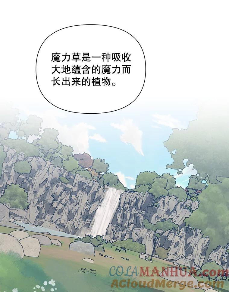 《第二次走向红毯》36.视察领地 第81页
