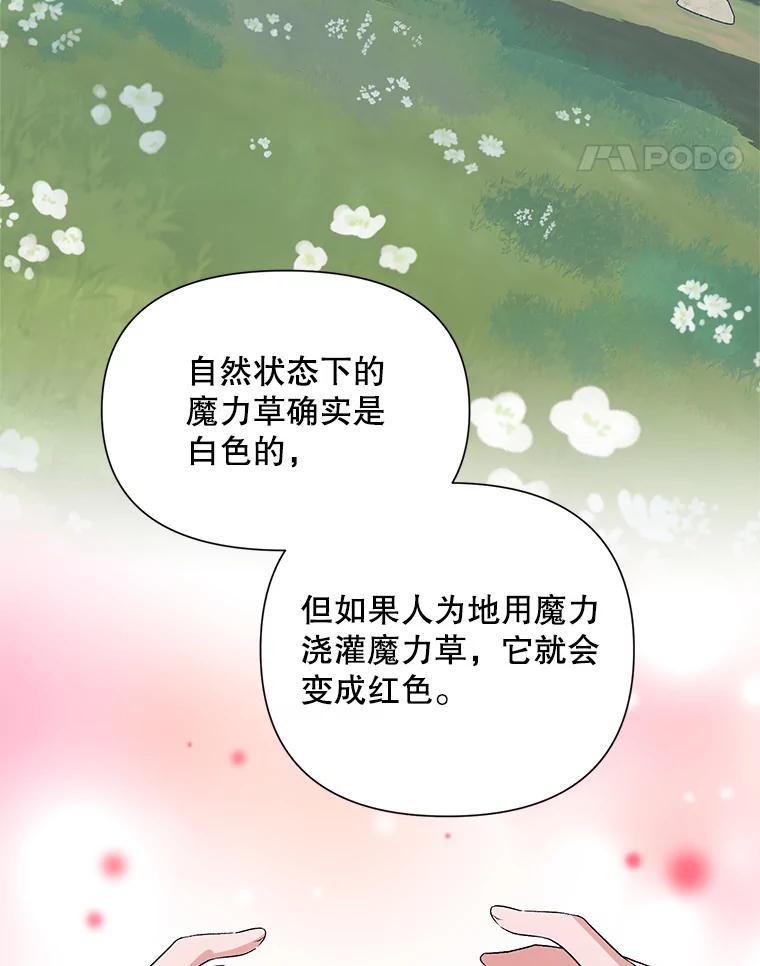 《第二次走向红毯》36.视察领地 第82页