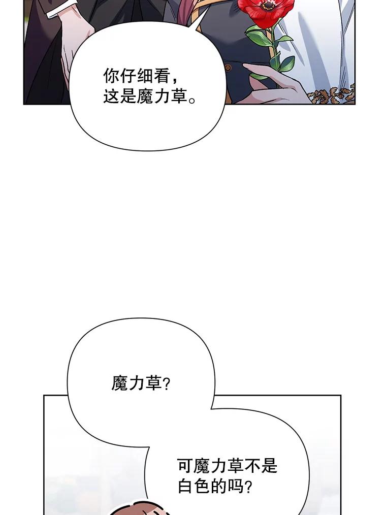 《第二次走向红毯》36.视察领地 第79页