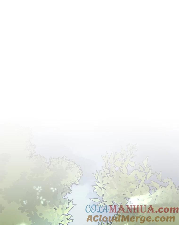 《第二次走向红毯》37.魔力草 第29页
