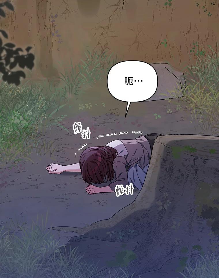 《第二次走向红毯》37.魔力草 第36页