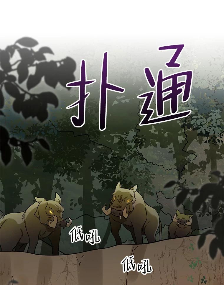 《第二次走向红毯》37.魔力草 第35页