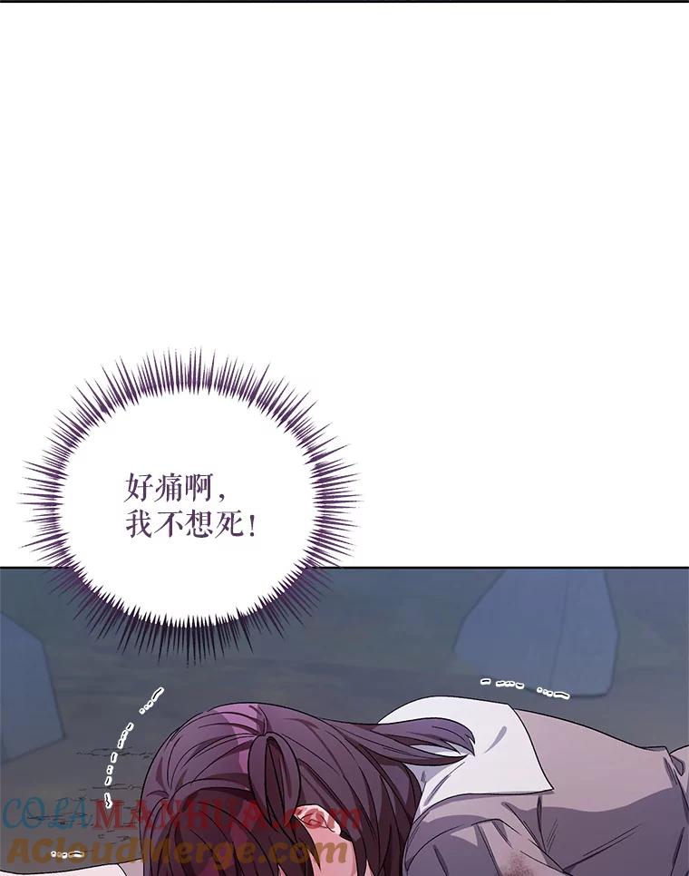 《第二次走向红毯》37.魔力草 第37页