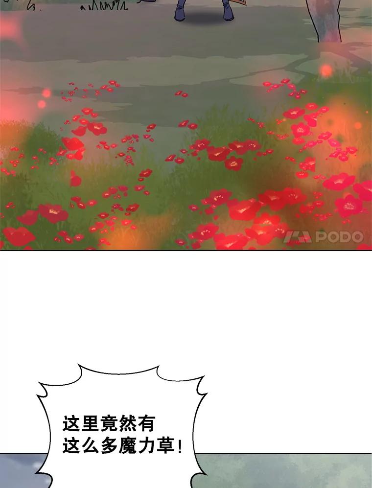 《第二次走向红毯》37.魔力草 第7页