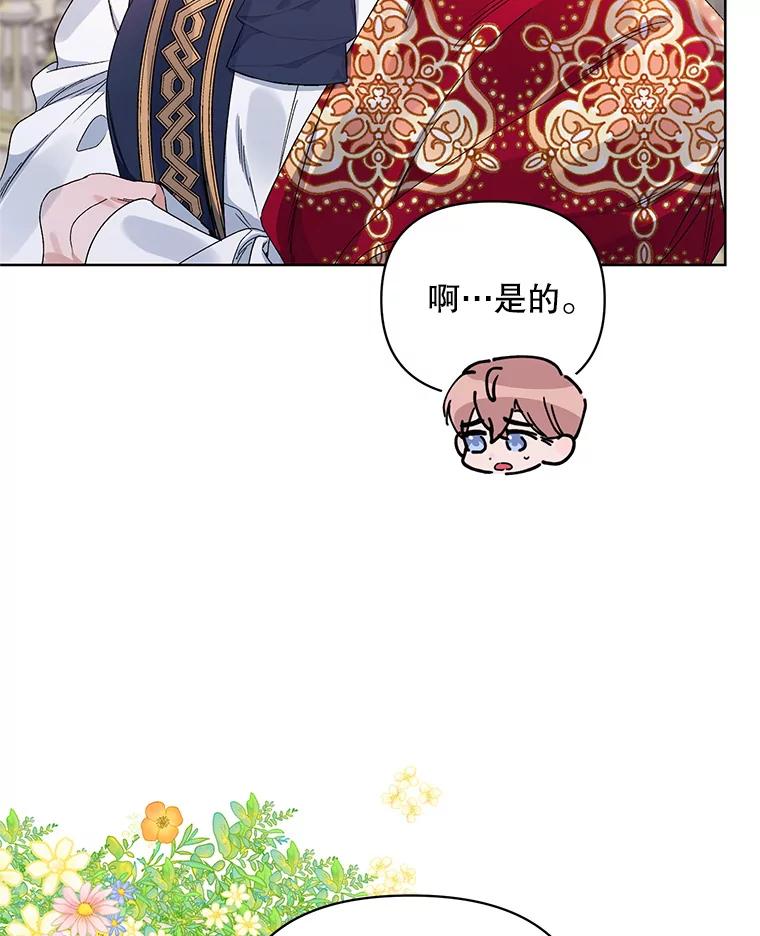 《第二次走向红毯》42.魔力体质 第20页