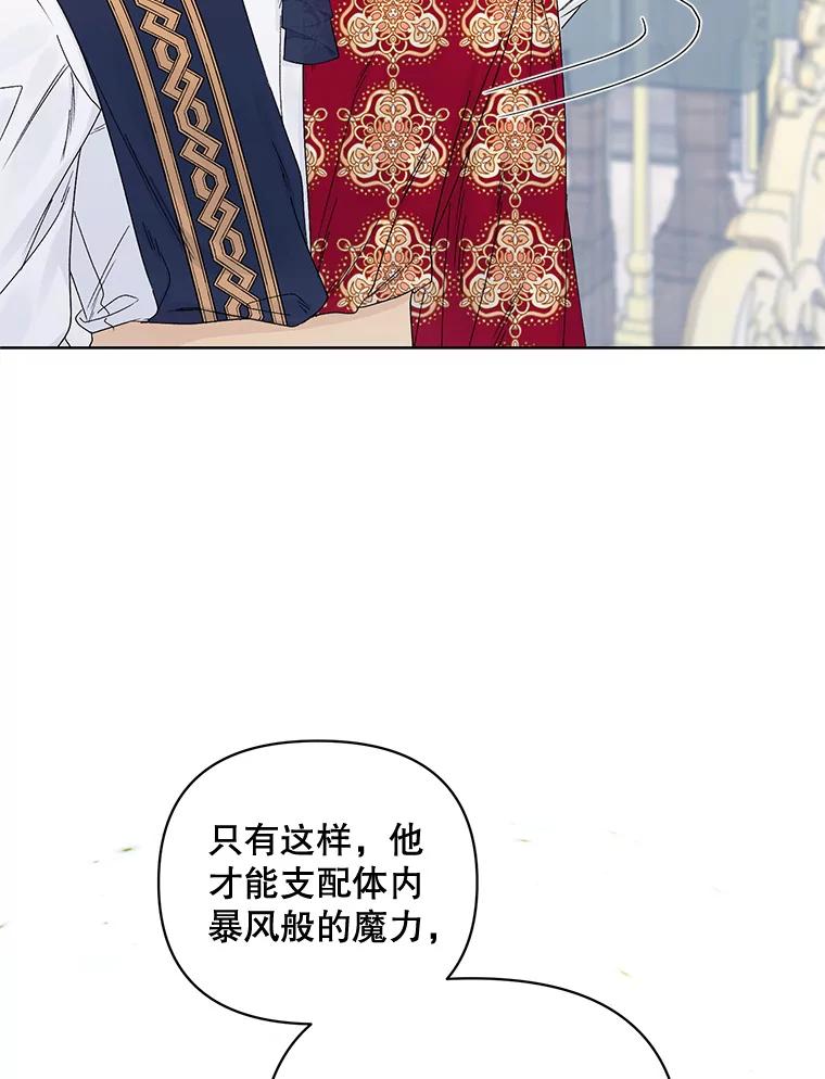 《第二次走向红毯》42.魔力体质 第32页