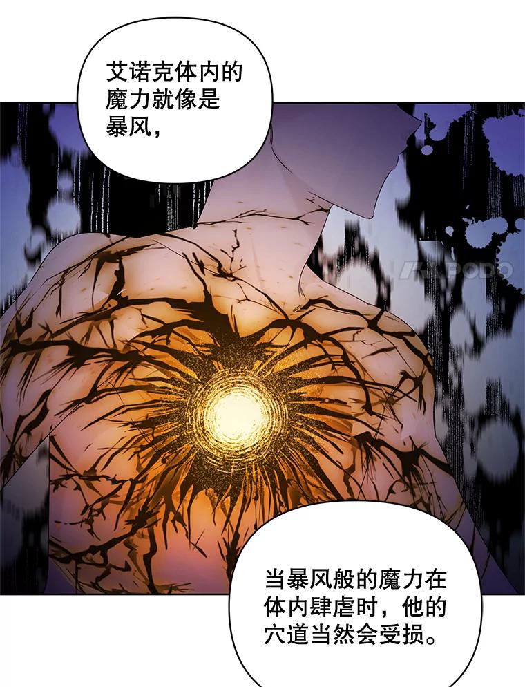 《第二次走向红毯》42.魔力体质 第28页