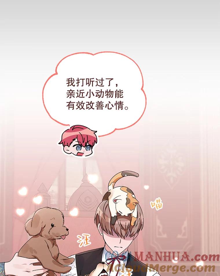《第二次走向红毯》42.魔力体质 第85页