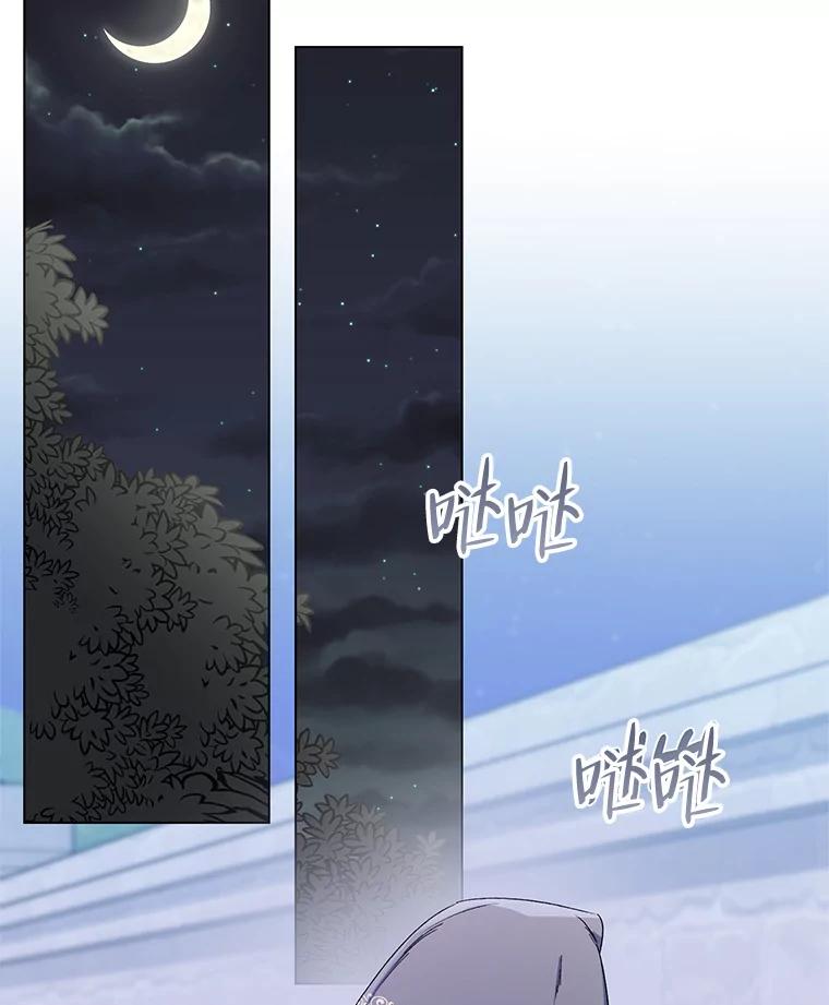《第二次走向红毯》44.潜入计划 第110页