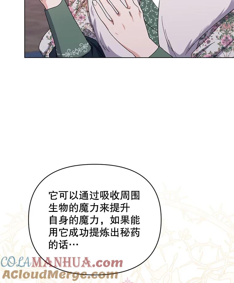 《第二次走向红毯》45.潜入成功 第37页