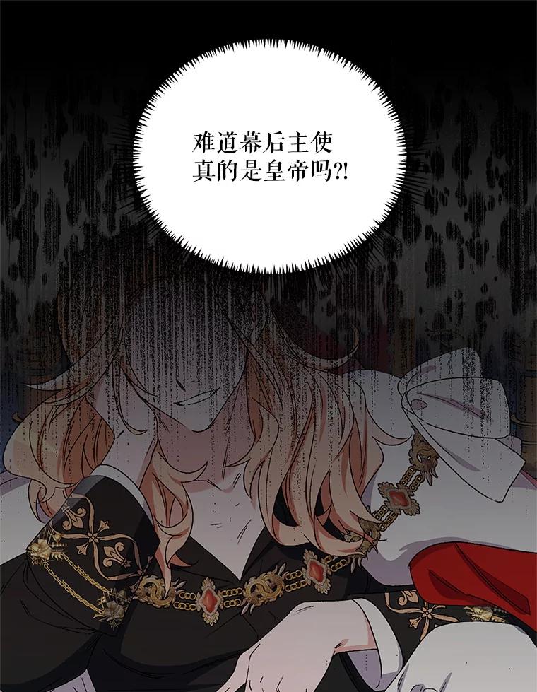 《第二次走向红毯》47.皇帝的计划 第34页