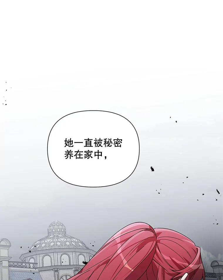 《第二次走向红毯》52.挑衅 第62页