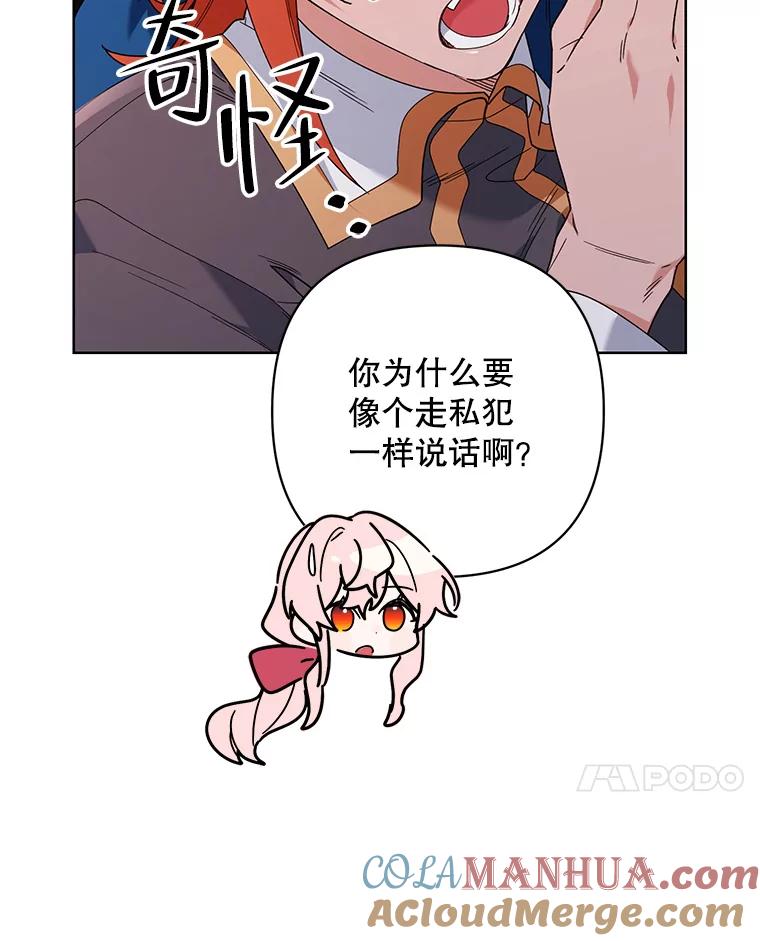《第二次走向红毯》65.袭击事件 第41页