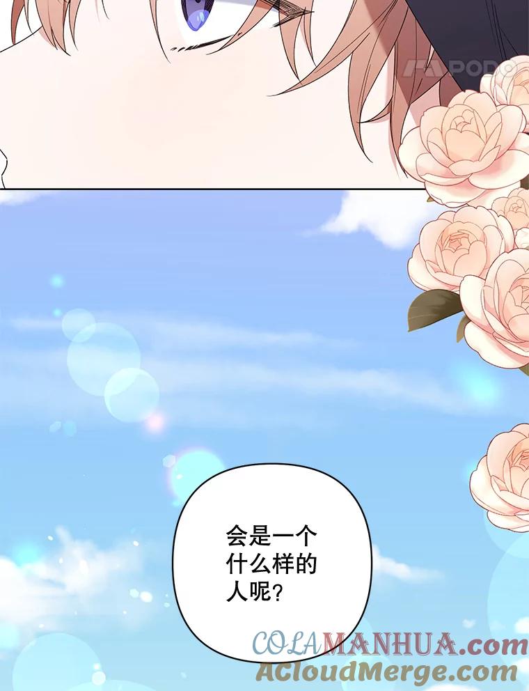 《第二次走向红毯》71.大贵族会议 第29页