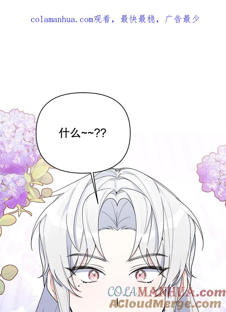 《第二次走向红毯》73.神秘人 第1页