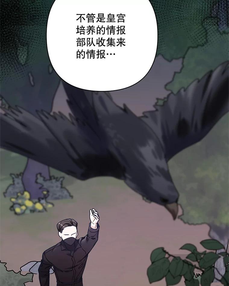 《第二次走向红毯》74.真实身份 第67页