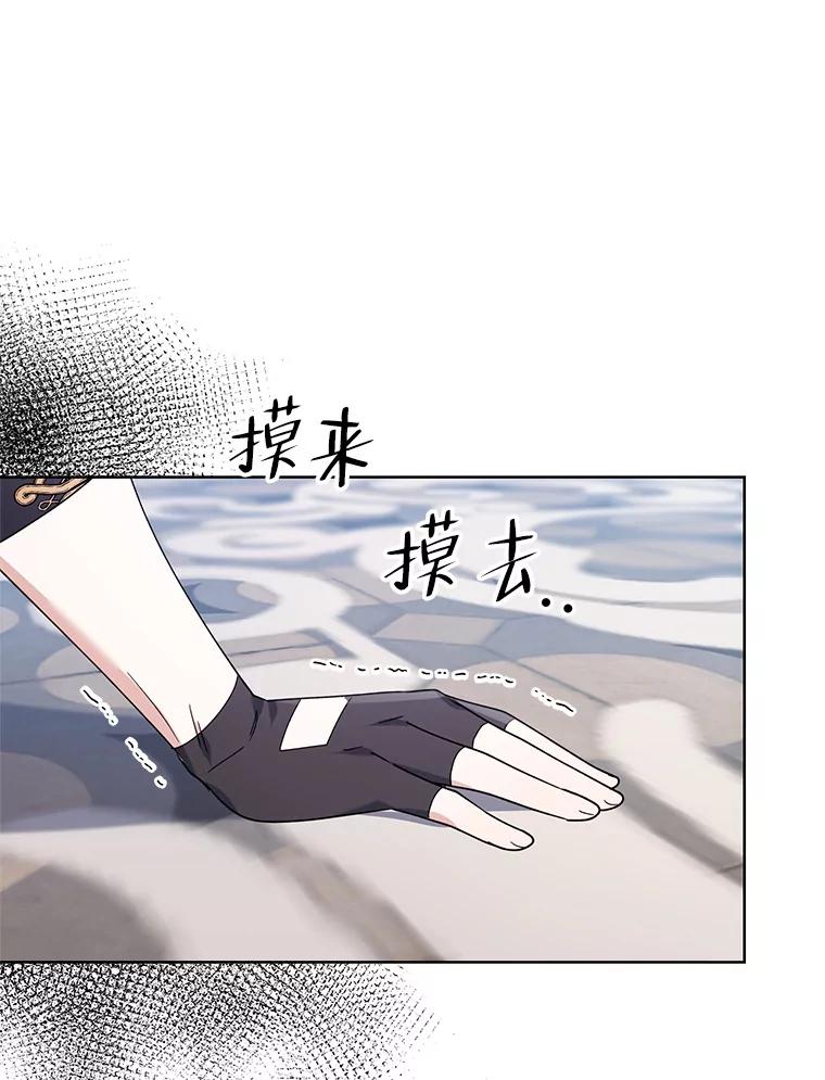 《第二次走向红毯》78.神秘的帝国宝物 第43页