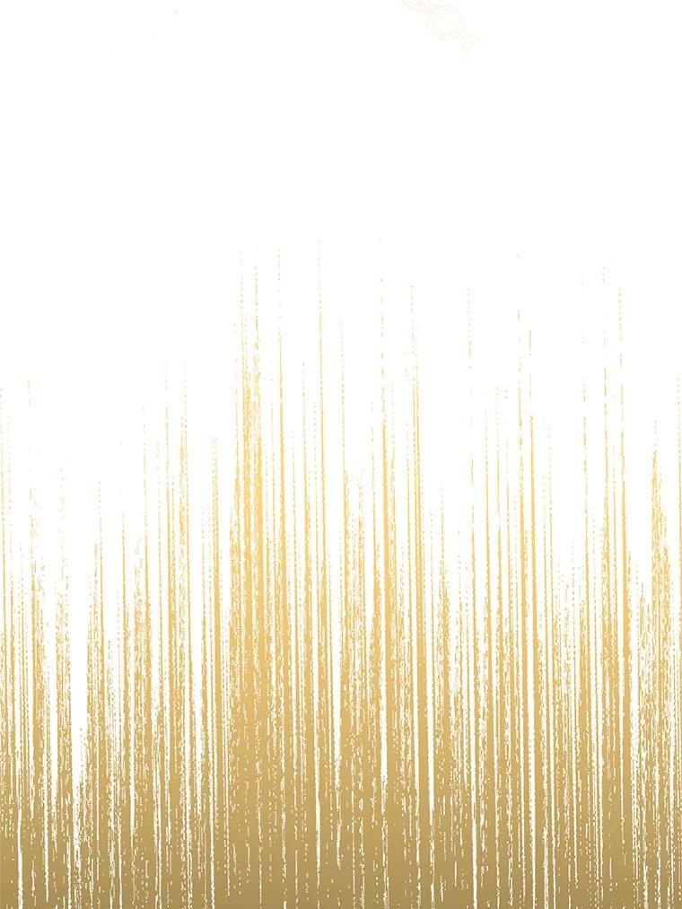 《第二次走向红毯》79.宝物的秘密 第48页