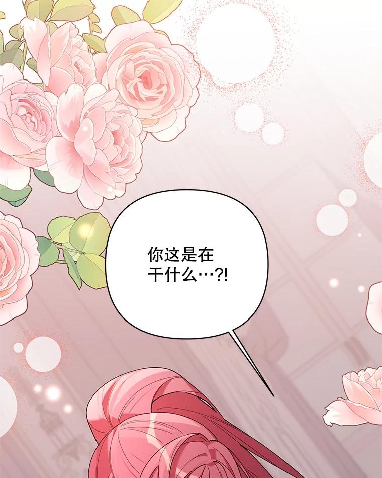 《第二次走向红毯》81.我的生活 第47页