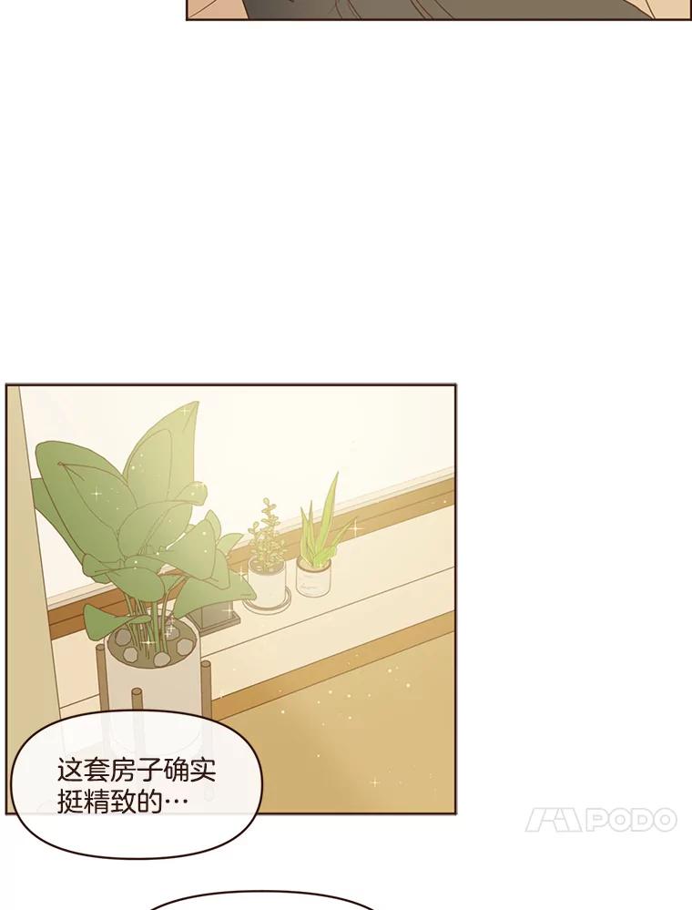 《财阀访谈》85.网文作者街1.5居室 第14页