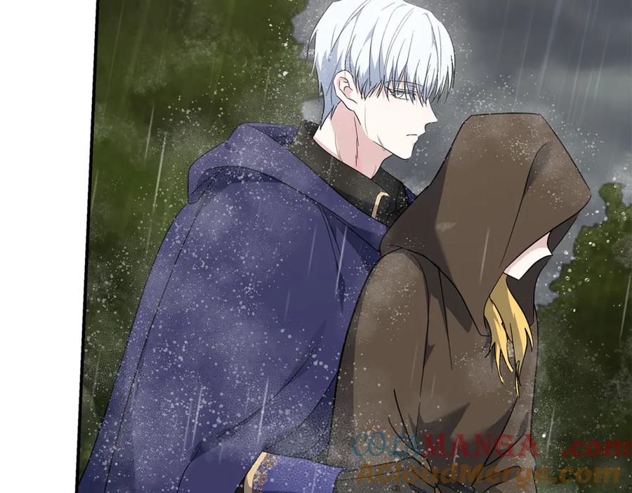 恶女的王座 第215话 最后的博弈 第17页