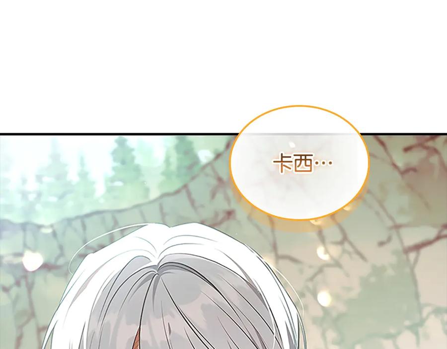 奶萌魔力小公主 番外15 拿到陨石 第243页
