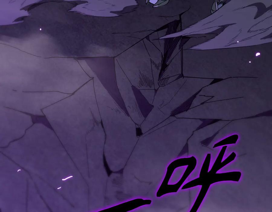 《SSS级超越常理的圣骑士》第45话 王轩的底牌 第204页