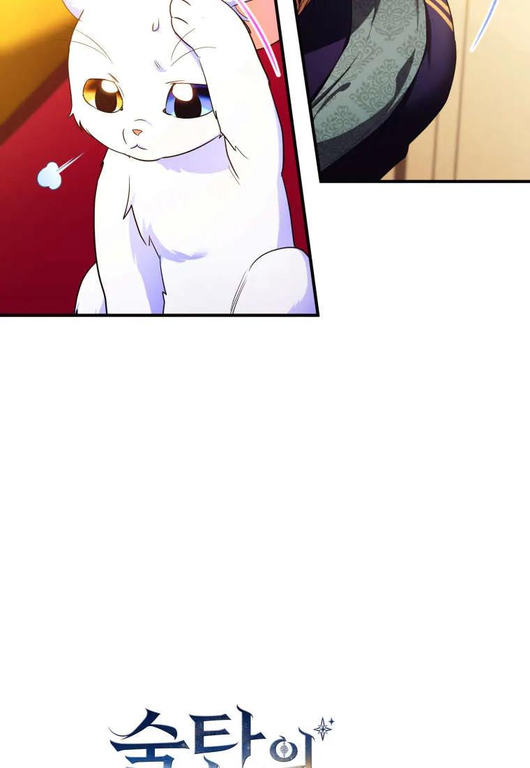成为苏尔坦珍爱的猫咪 第55话 第5页