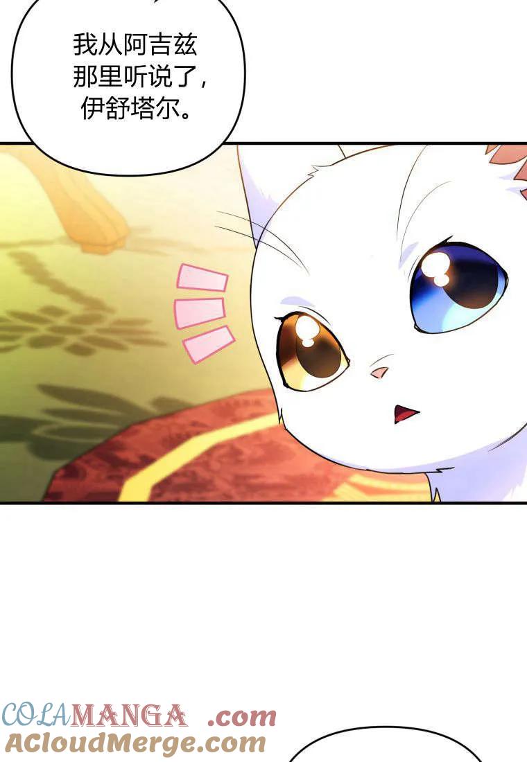 成为苏尔坦珍爱的猫咪 第55话 第7页