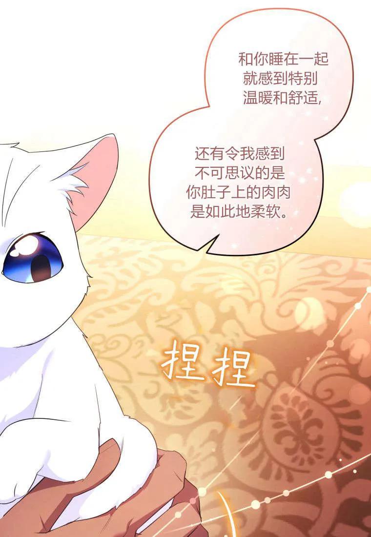 成为苏尔坦珍爱的猫咪 第55话 第17页
