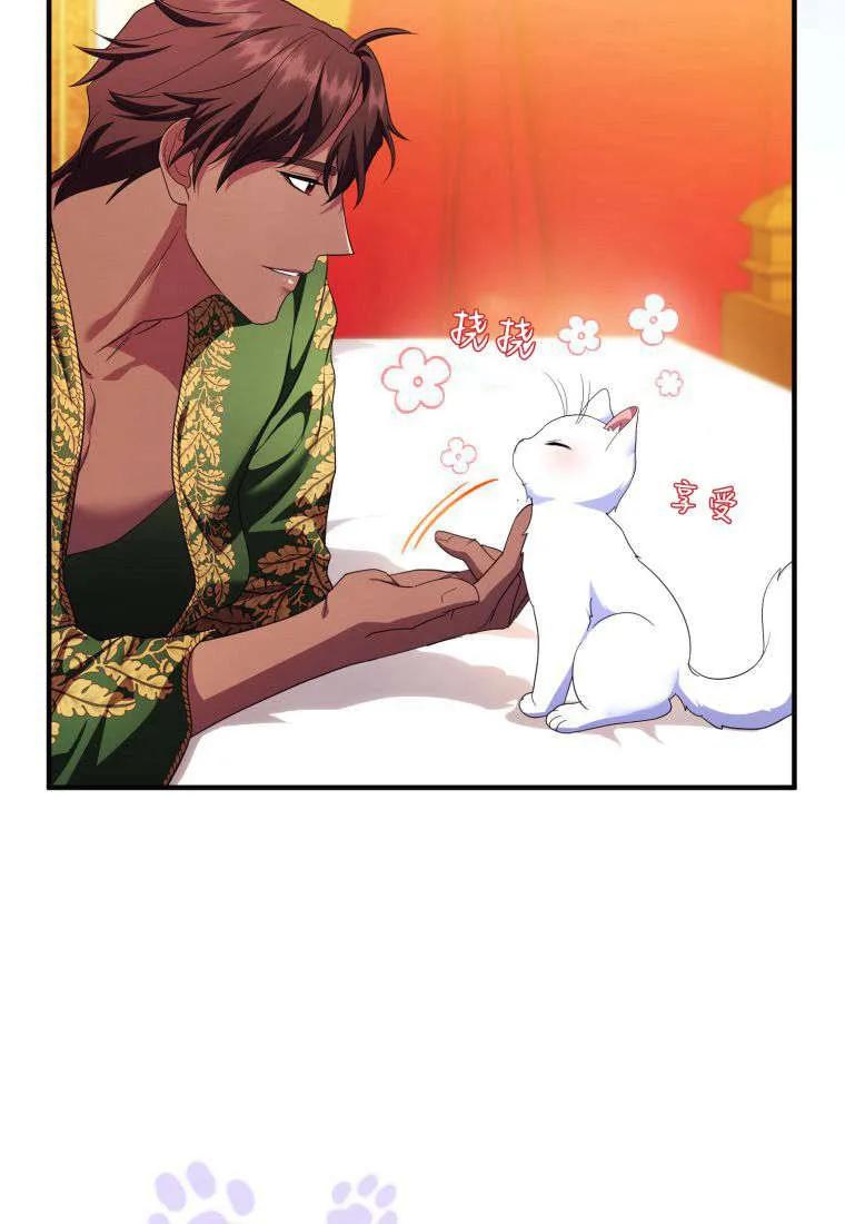 成为苏尔坦珍爱的猫咪 第55话 第15页