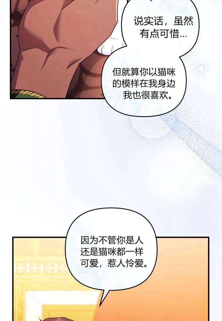 成为苏尔坦珍爱的猫咪 第55话 第14页
