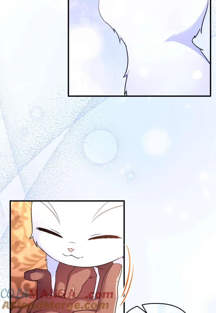 成为苏尔坦珍爱的猫咪 第55话 第13页