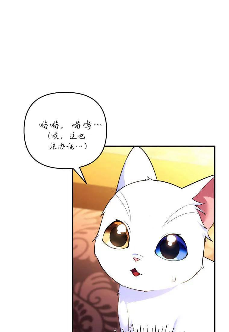成为苏尔坦珍爱的猫咪 第55话 第9页