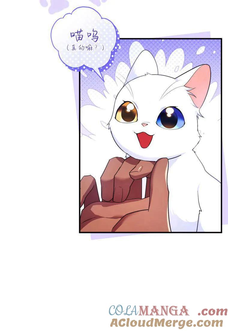 成为苏尔坦珍爱的猫咪 第55话 第16页