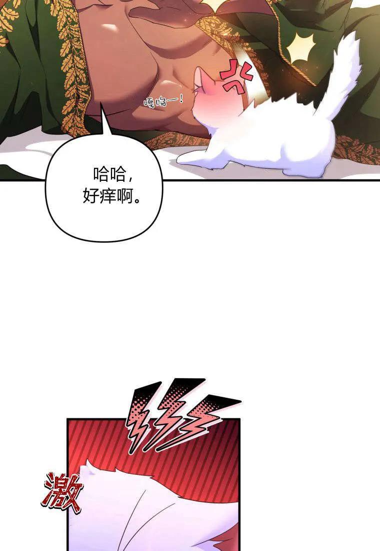 成为苏尔坦珍爱的猫咪 第55话 第20页