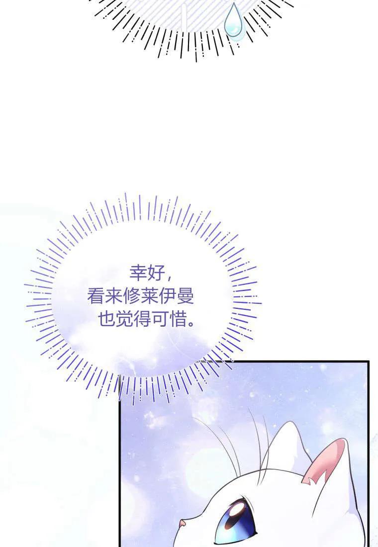 成为苏尔坦珍爱的猫咪 第55话 第12页