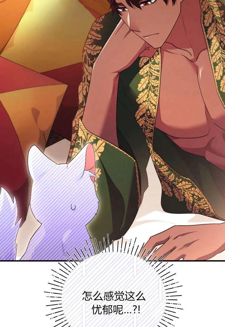成为苏尔坦珍爱的猫咪 第55话 第11页