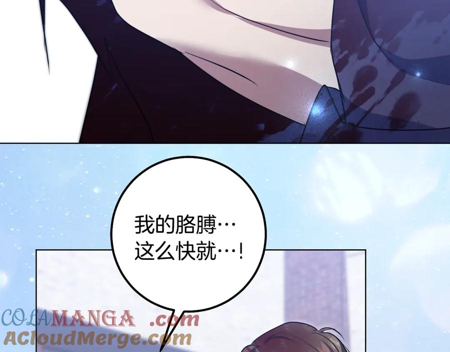 冒牌圣女等待离场 第79话 与魔兽决战 第129页