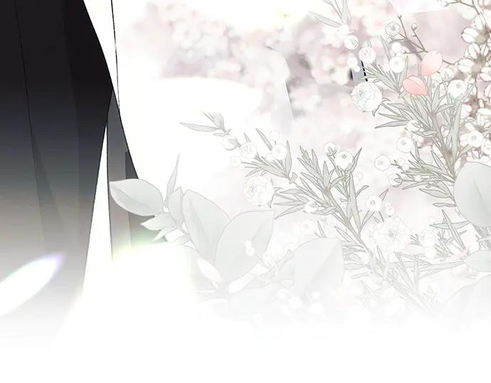 《黑暗皇女：雅什泰洛迪》第95话 第262页