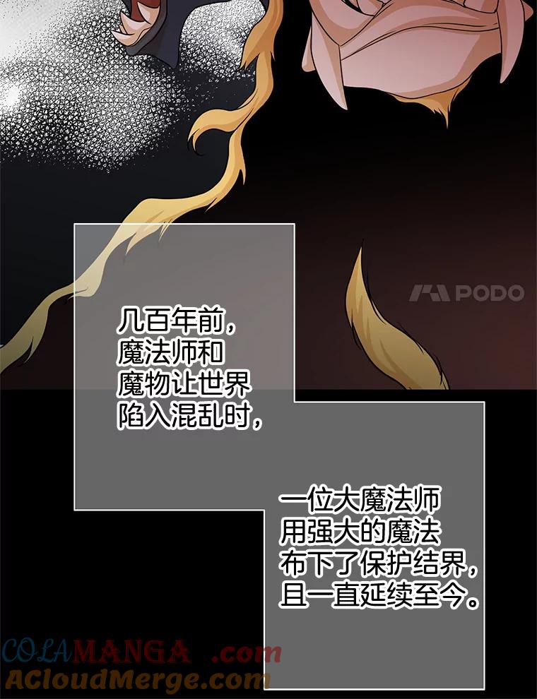 《第8位契约新娘》44.魔兽入侵 第77页