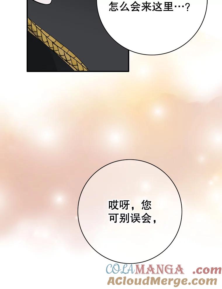 《第8位契约新娘》44.魔兽入侵 第37页